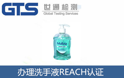 辦理洗手液REACH認證