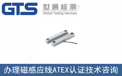磁感應線ATEX認證